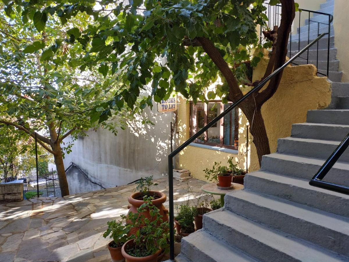 Piso Alonia Otel Arachova Dış mekan fotoğraf